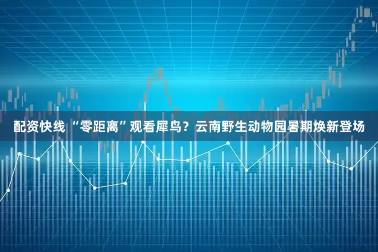 配资快线 “零距离”观看犀鸟？云南野生动物园暑期焕新登场