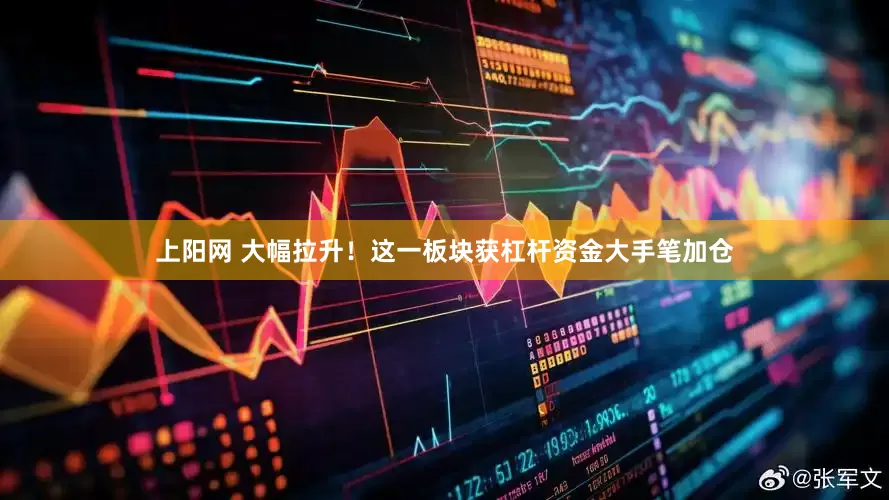 上阳网 大幅拉升！这一板块获杠杆资金大手笔加仓
