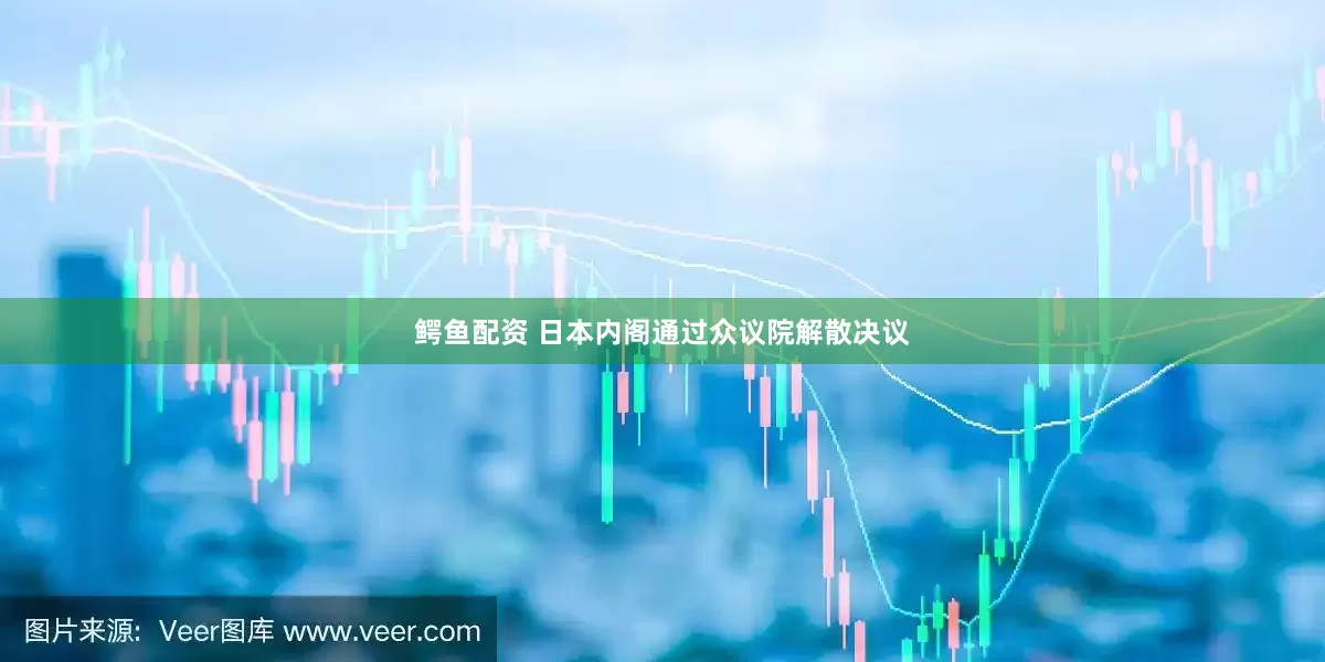 鳄鱼配资 日本内阁通过众议院解散决议
